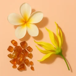 ÉCLAT 428 - Ambery Frangipani