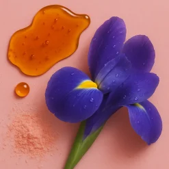 ÉCLAT 185 - Benzoin & Caramel