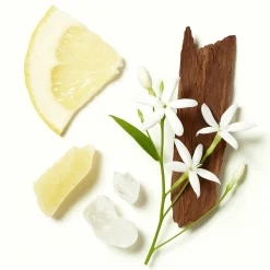 ÉCLAT 241 - Citrus Cedar