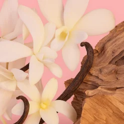 ÉCLAT 426 - Floral Blackcurrant