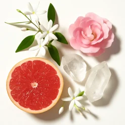 ÉCLAT 211 - Quince & Hyacinth