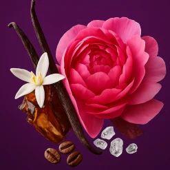 ÉCLAT 966 - Sweet Rose & Coffee