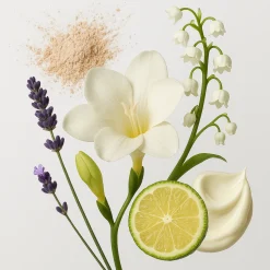 ÉCLAT 910 Autoparfum Nachfüllduft Refill