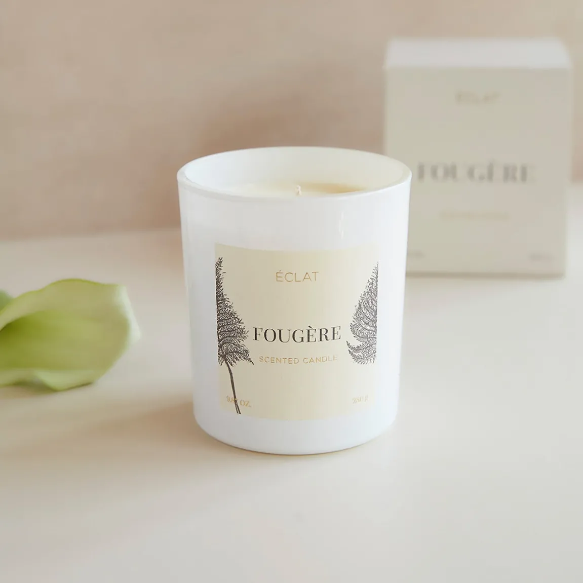 ÉCLAT Fougère Duftkerze aus Sojawachs